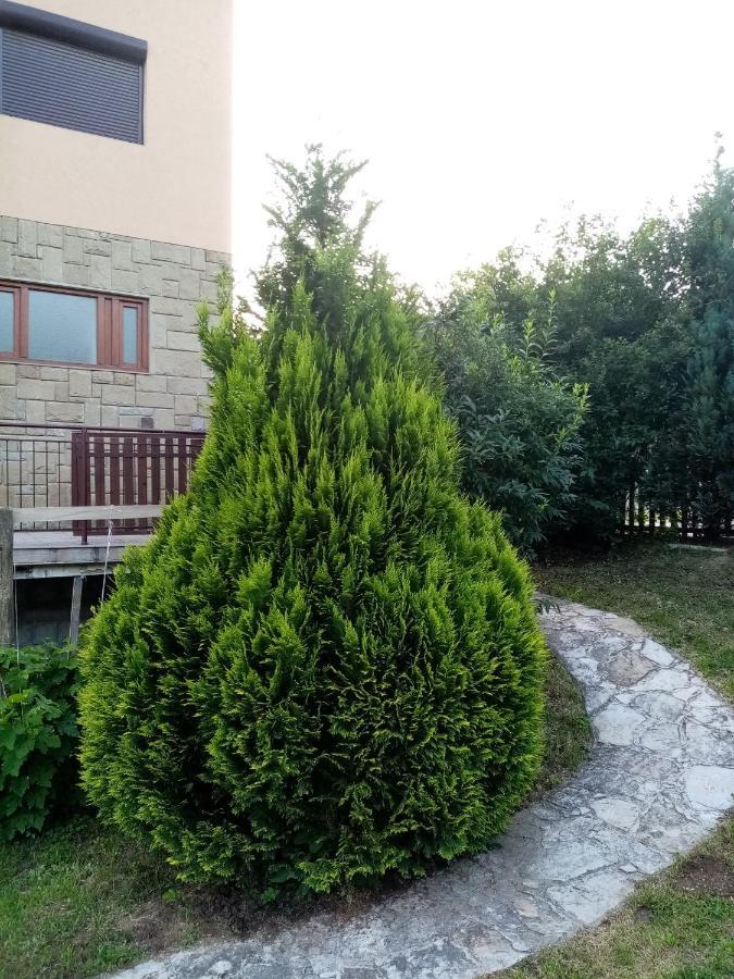 Guesthouse Smiljanic Slavkovica Eksteriør bilde