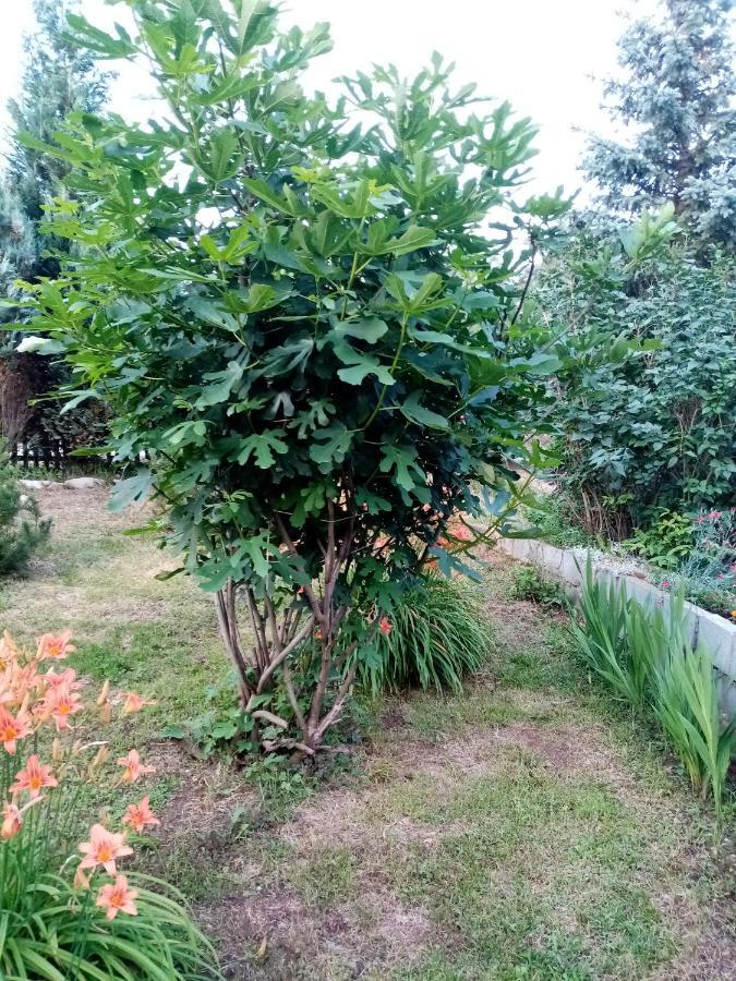 Guesthouse Smiljanic Slavkovica Eksteriør bilde
