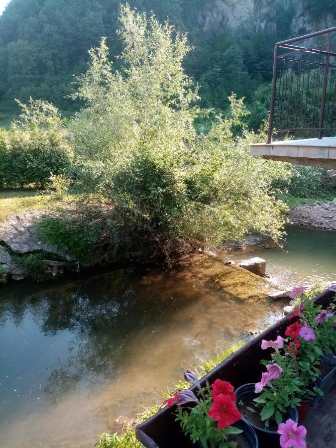 Guesthouse Smiljanic Slavkovica Eksteriør bilde