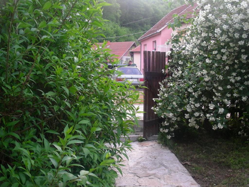 Guesthouse Smiljanic Slavkovica Eksteriør bilde